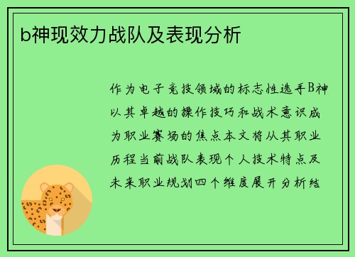 b神现效力战队及表现分析
